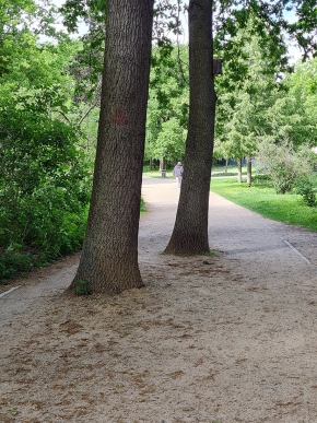 tiergarten berlijn 5-2025 161500